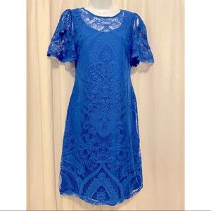 NWT Stunning Cobalt Blue Lace Dress Size 4